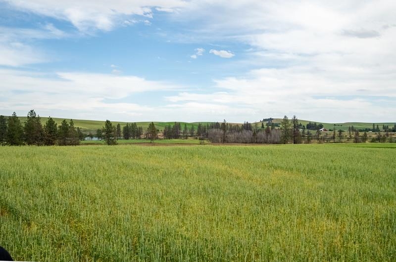NKA Lambridge Lane Lot 3 Ln - Photo 7
