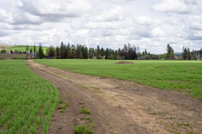 NKA Lambridge Lane Lot 4 Ln - Photo 1