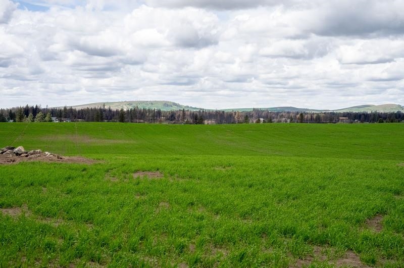 NKA Lambridge Lane Lot 4 Ln - Photo 2