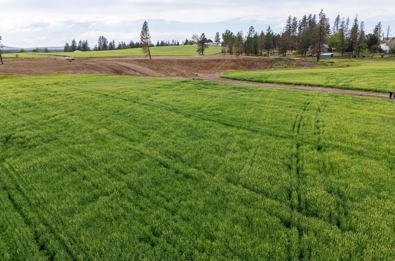NKA Lambridge Lane Lot 6 Ln - Photo 5