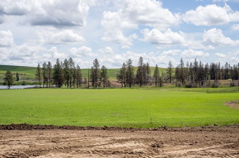 NKA Lambridge Lane Lot 6 Ln - Photo 6