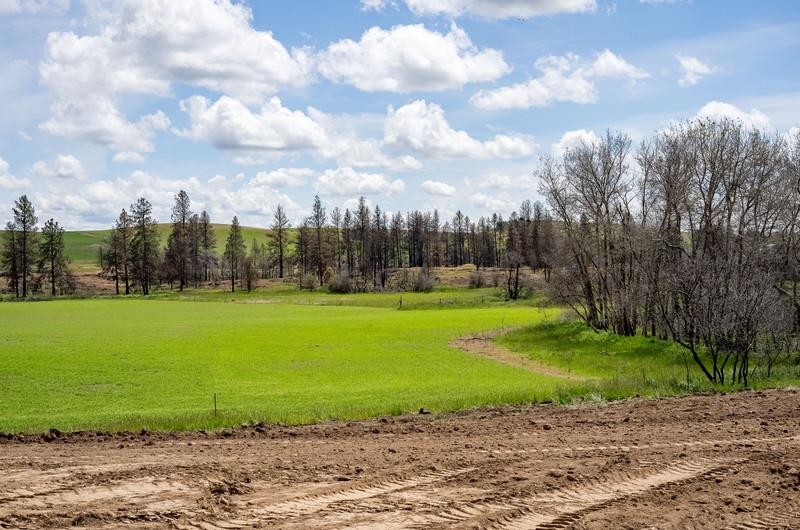 NKA Lambridge Lane Lot 6 Ln - Photo 7
