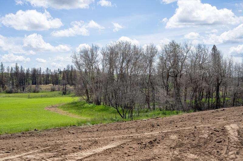 NKA Lambridge Lane Lot 6 Ln - Photo 8