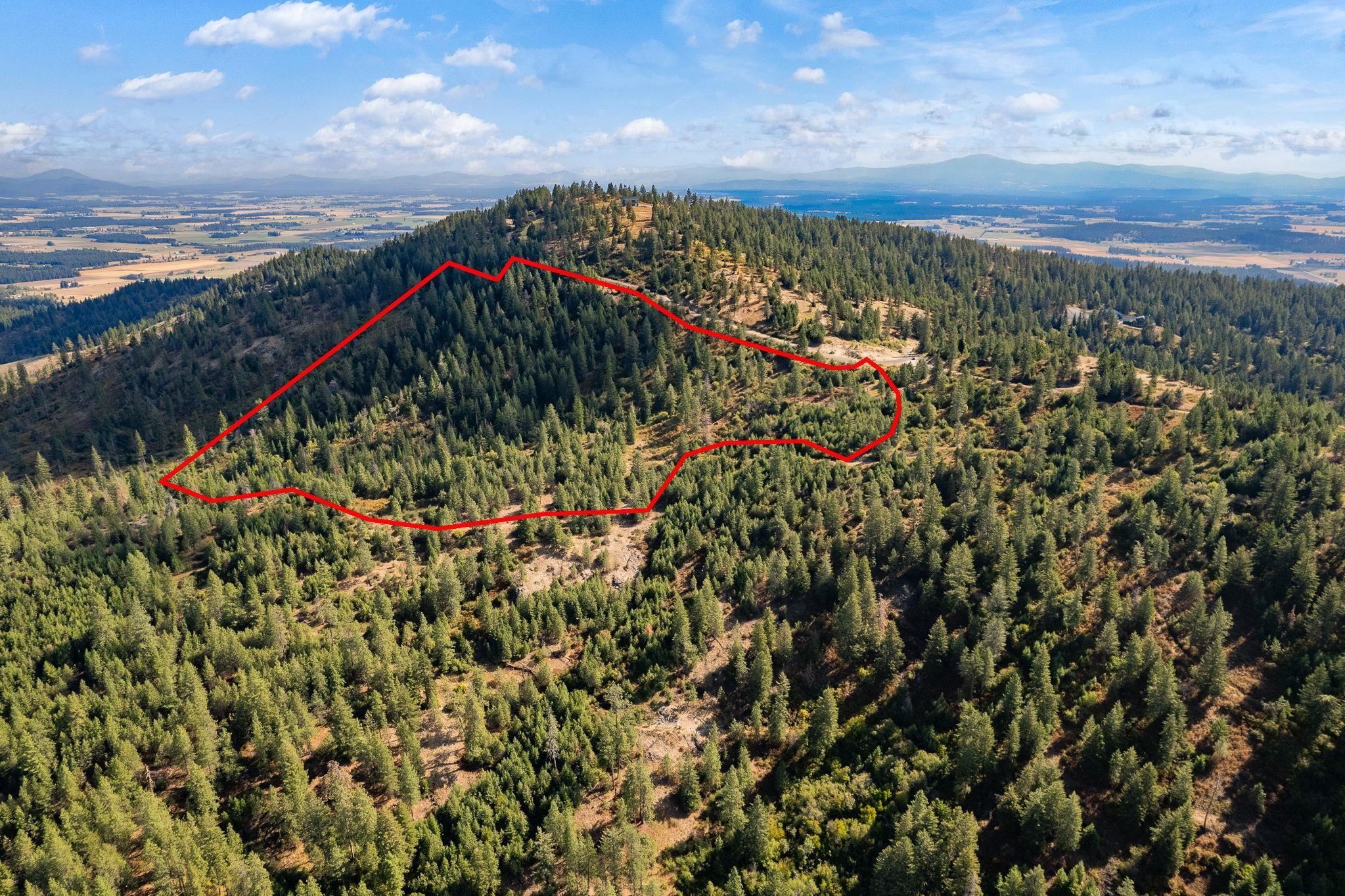 6671 Blue Ridge Way - Photo 2