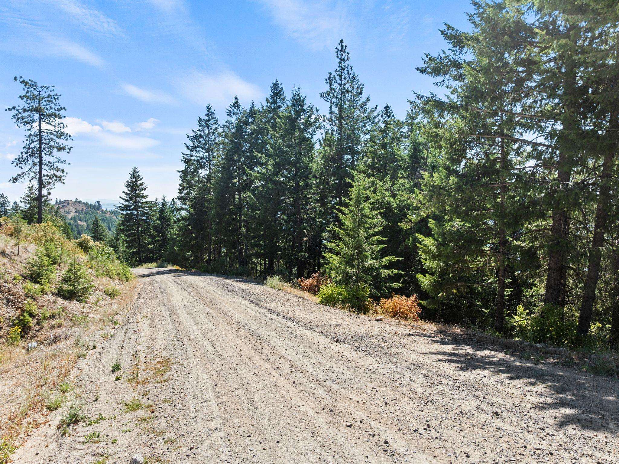 6671 Blue Ridge Way - Photo 12