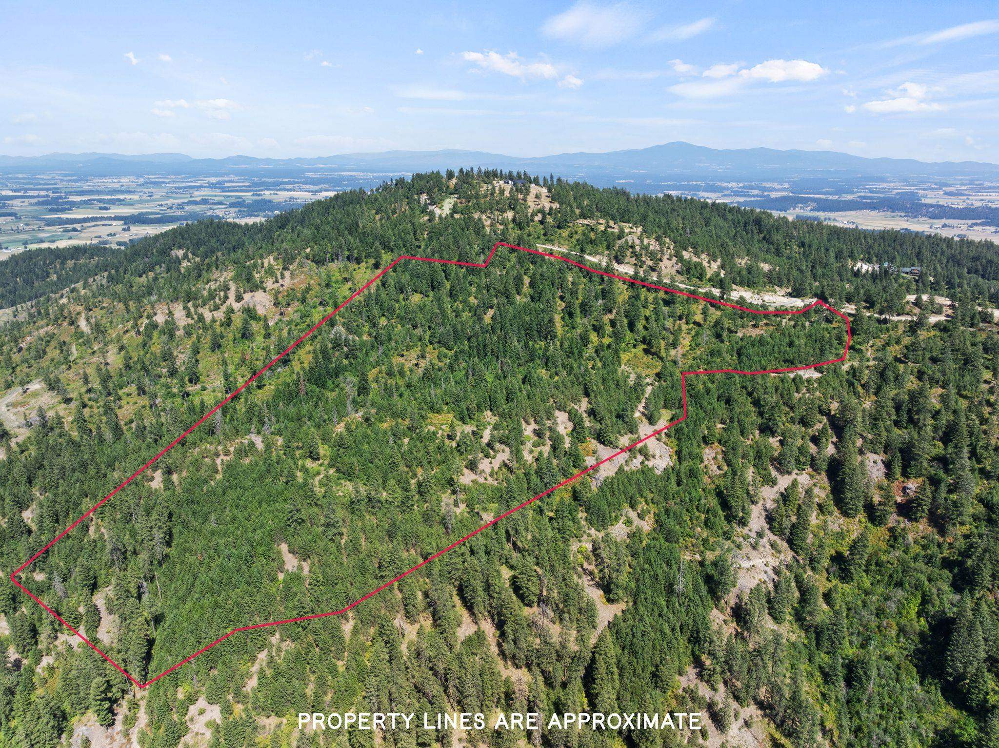 6671 Blue Ridge Way - Photo 15