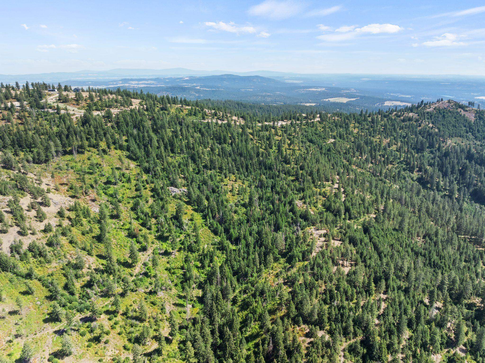6671 Blue Ridge Way - Photo 17