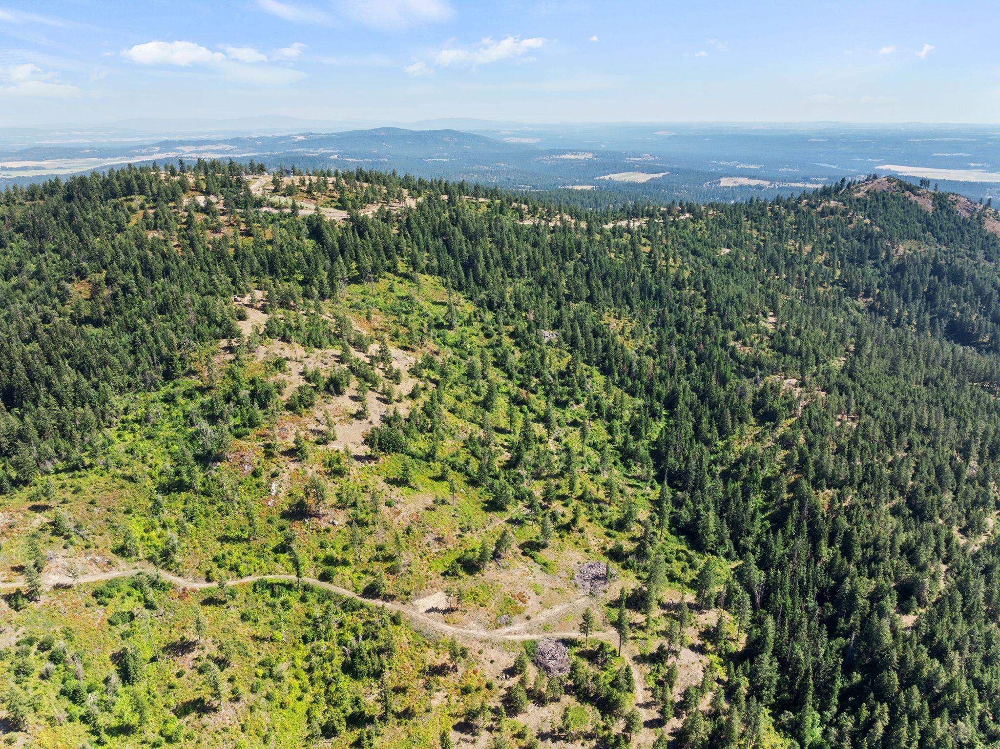 6671 Blue Ridge Way - Photo 21