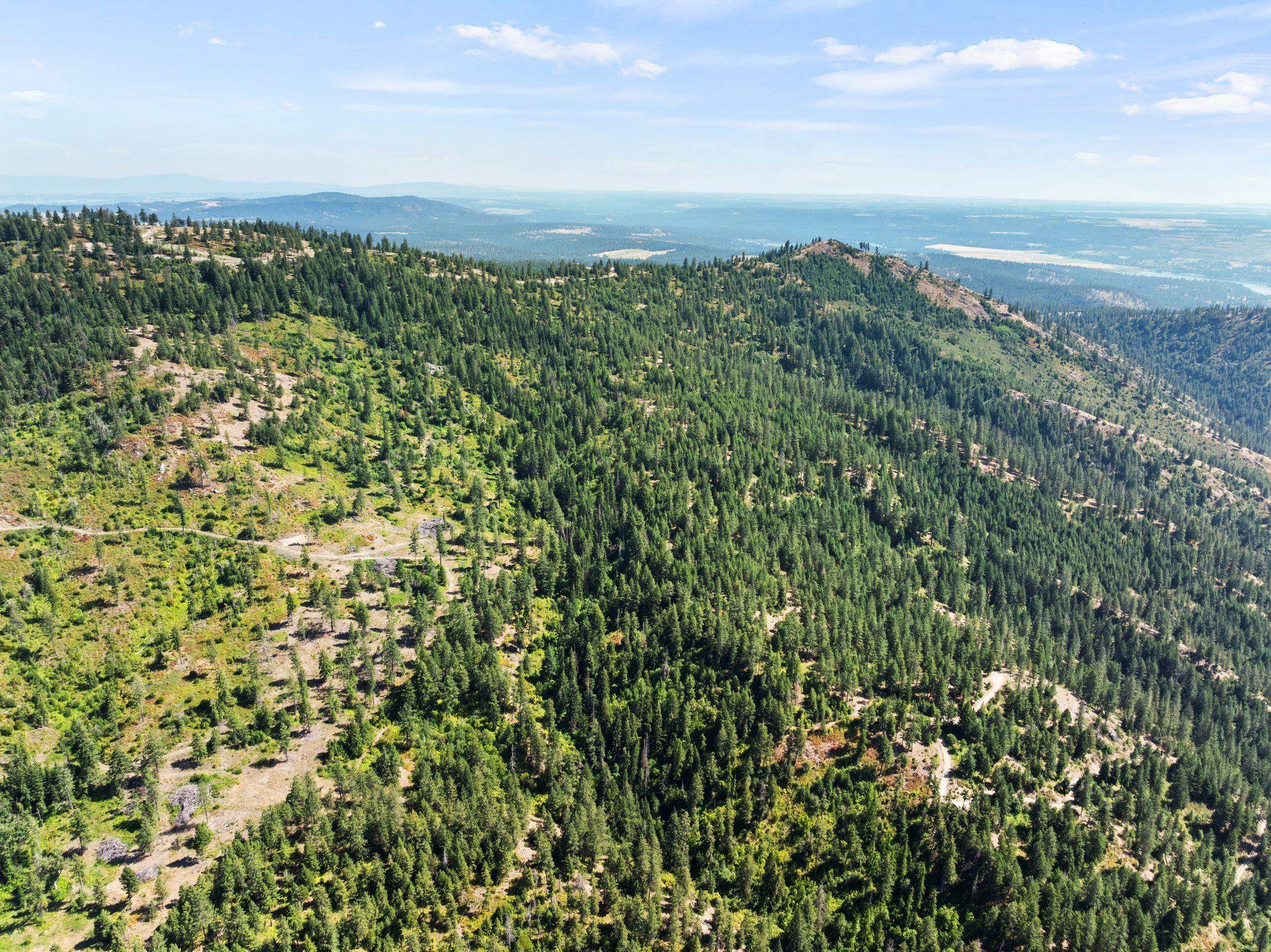 6671 Blue Ridge Way - Photo 22