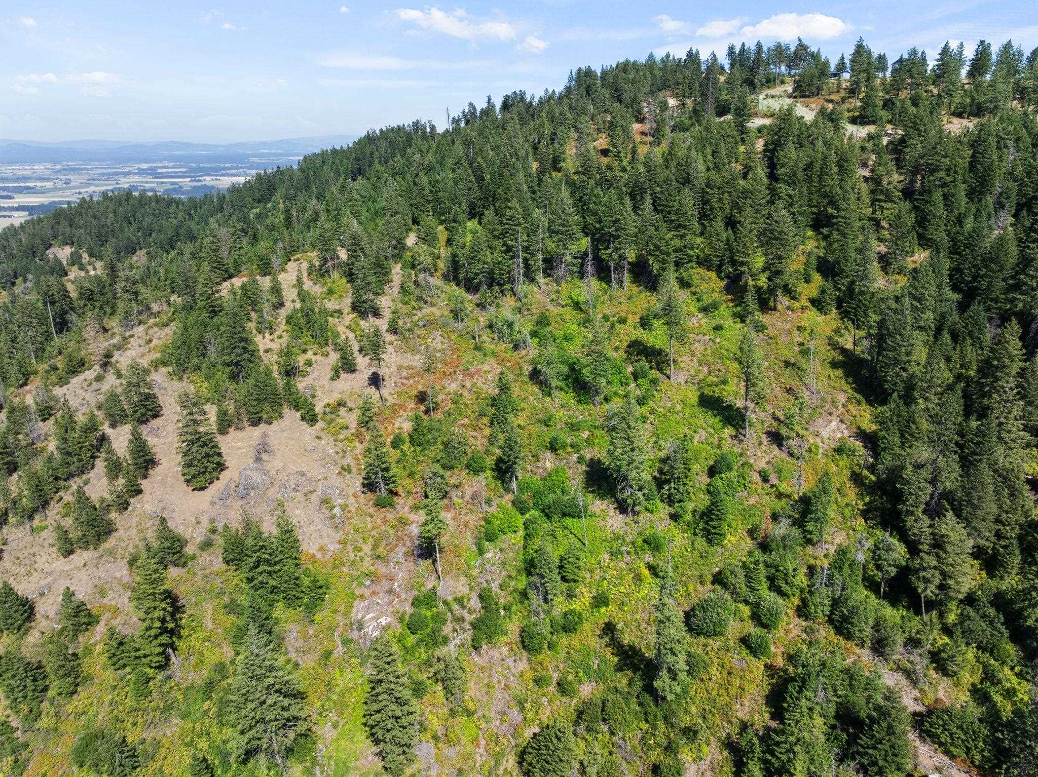 6671 Blue Ridge Way - Photo 4