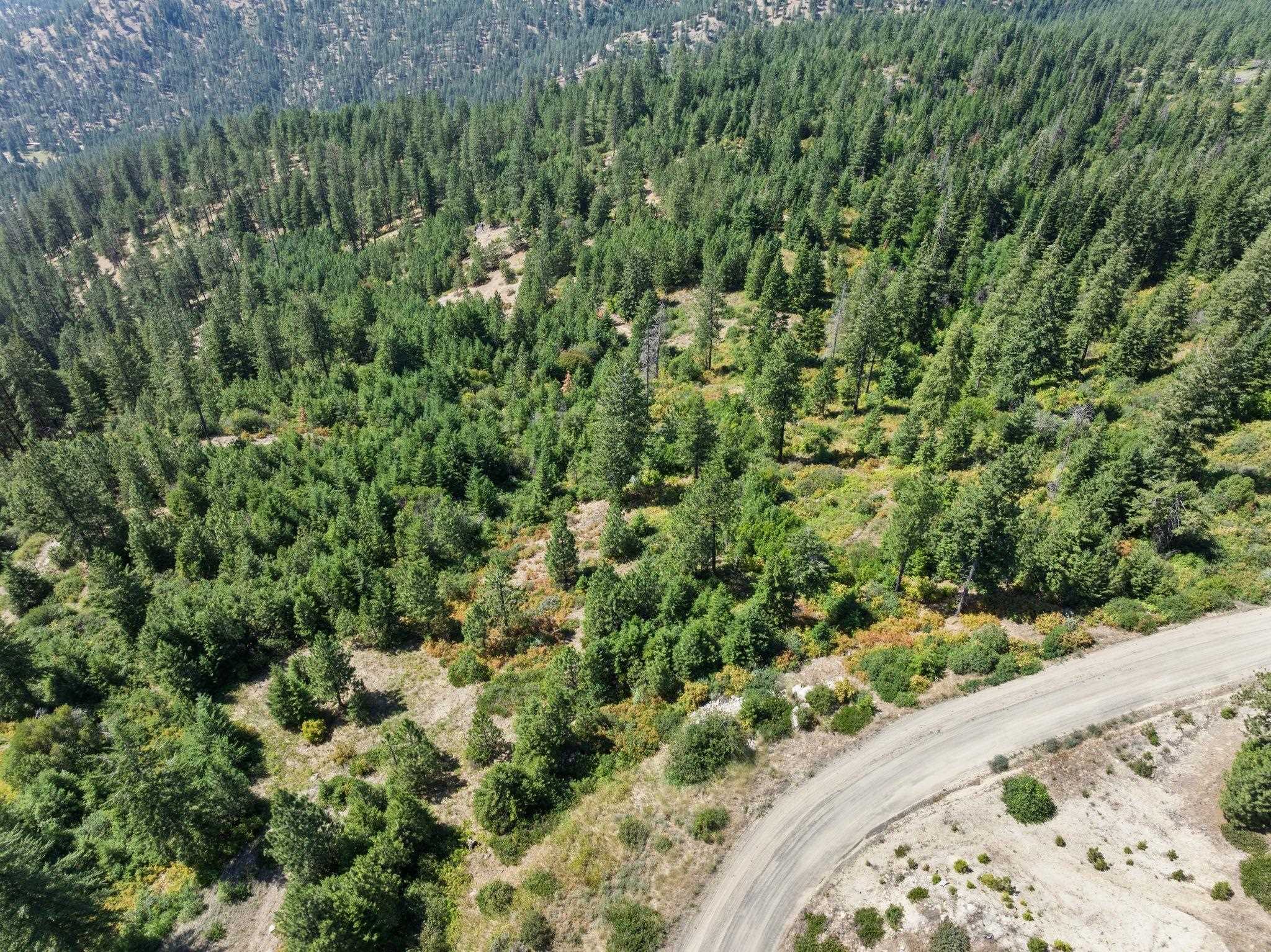 6671 Blue Ridge Way - Photo 6