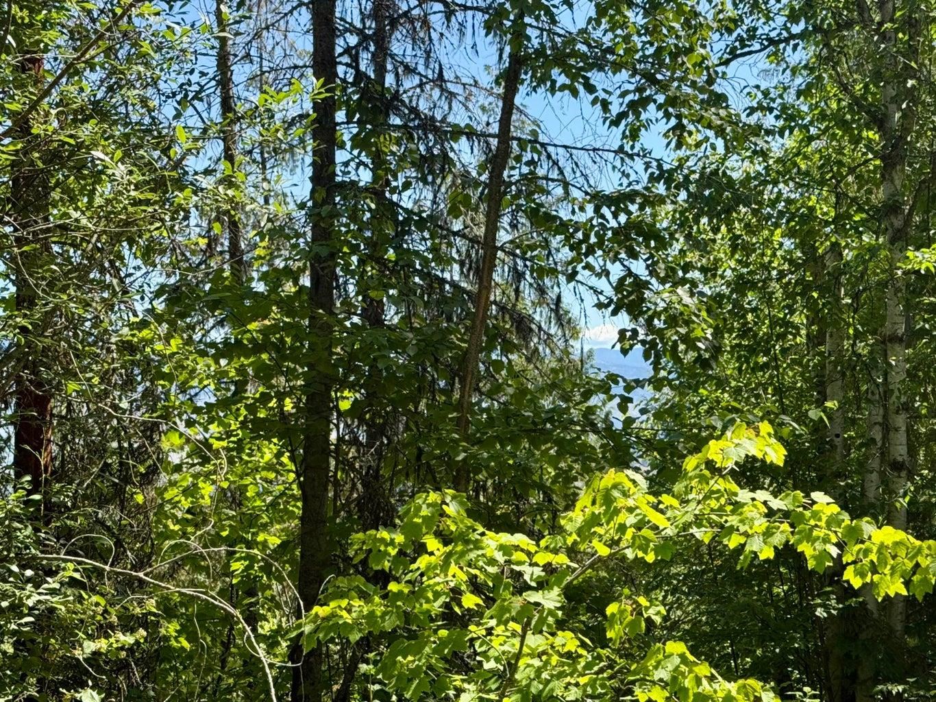 TBD Perenlandra Cir - Photo 2
