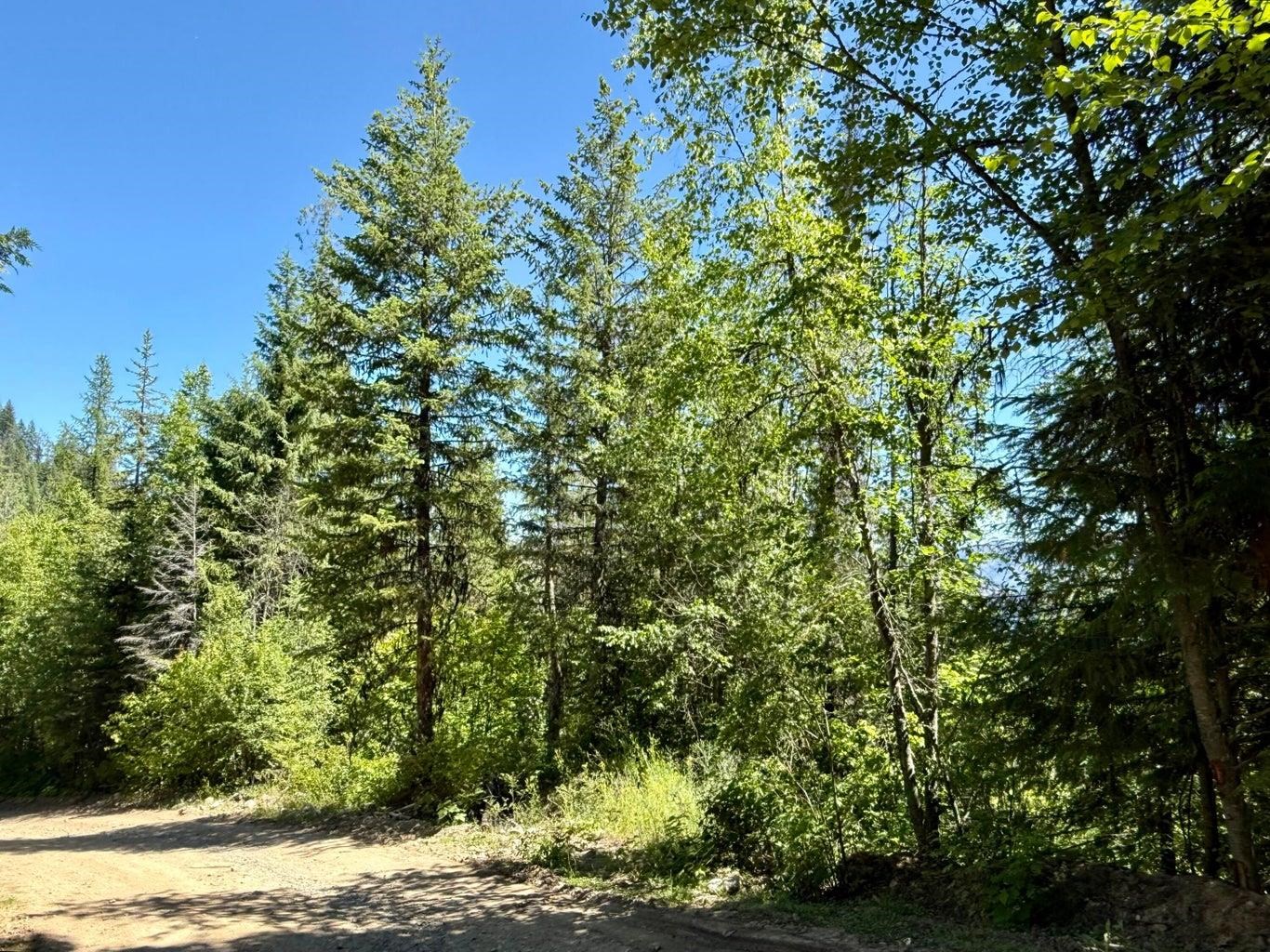 TBD Perenlandra Cir - Photo 12