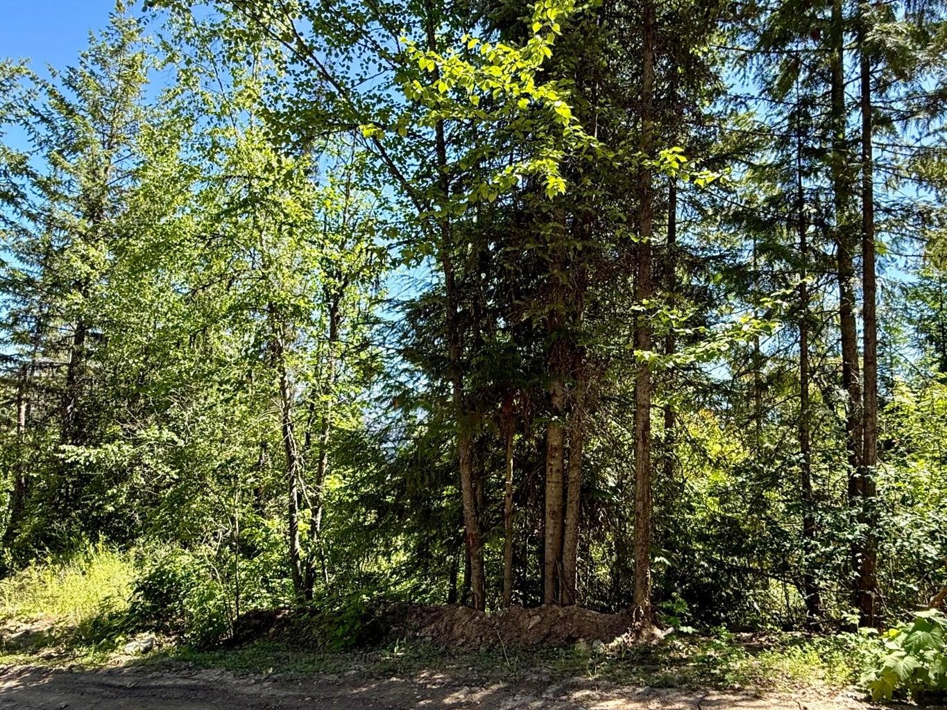 TBD Perenlandra Cir - Photo 8