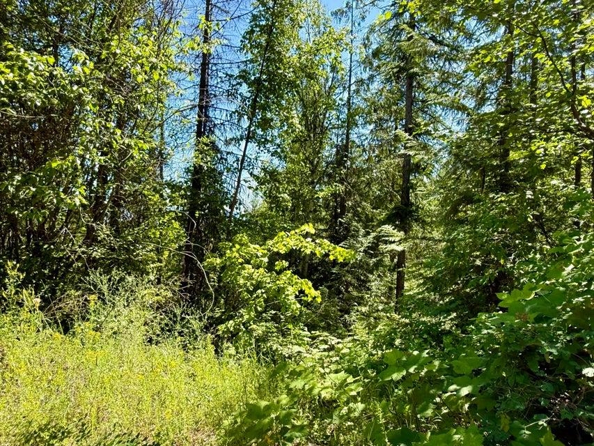 TBD PERELANDRA Lot 36,37,41 Cir - Photo 20