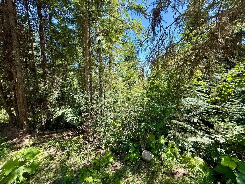 TBD PERELANDRA Lot 36,37,41 Cir - Photo 5