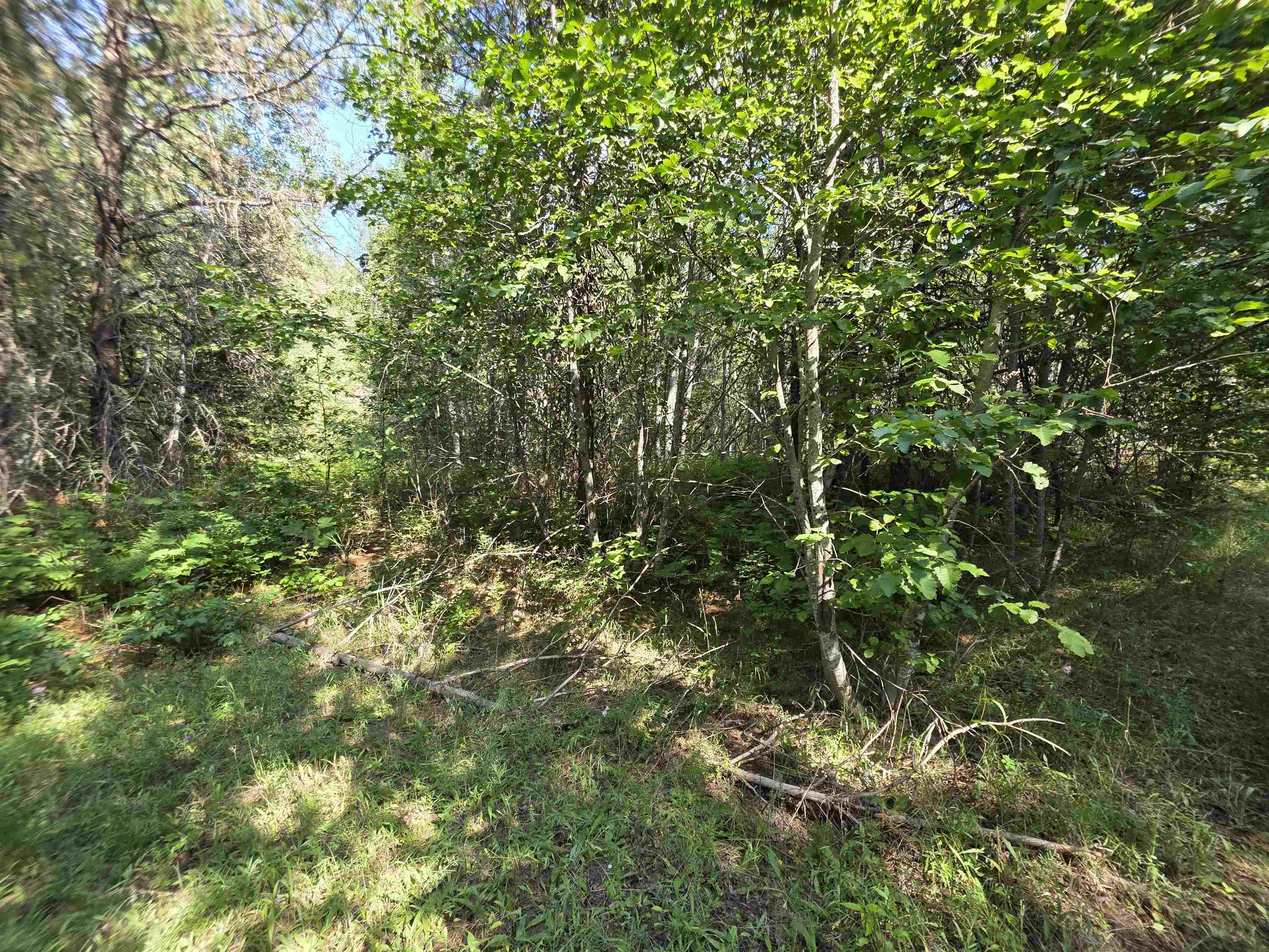 71 Hearts Delight Ln - Photo 1