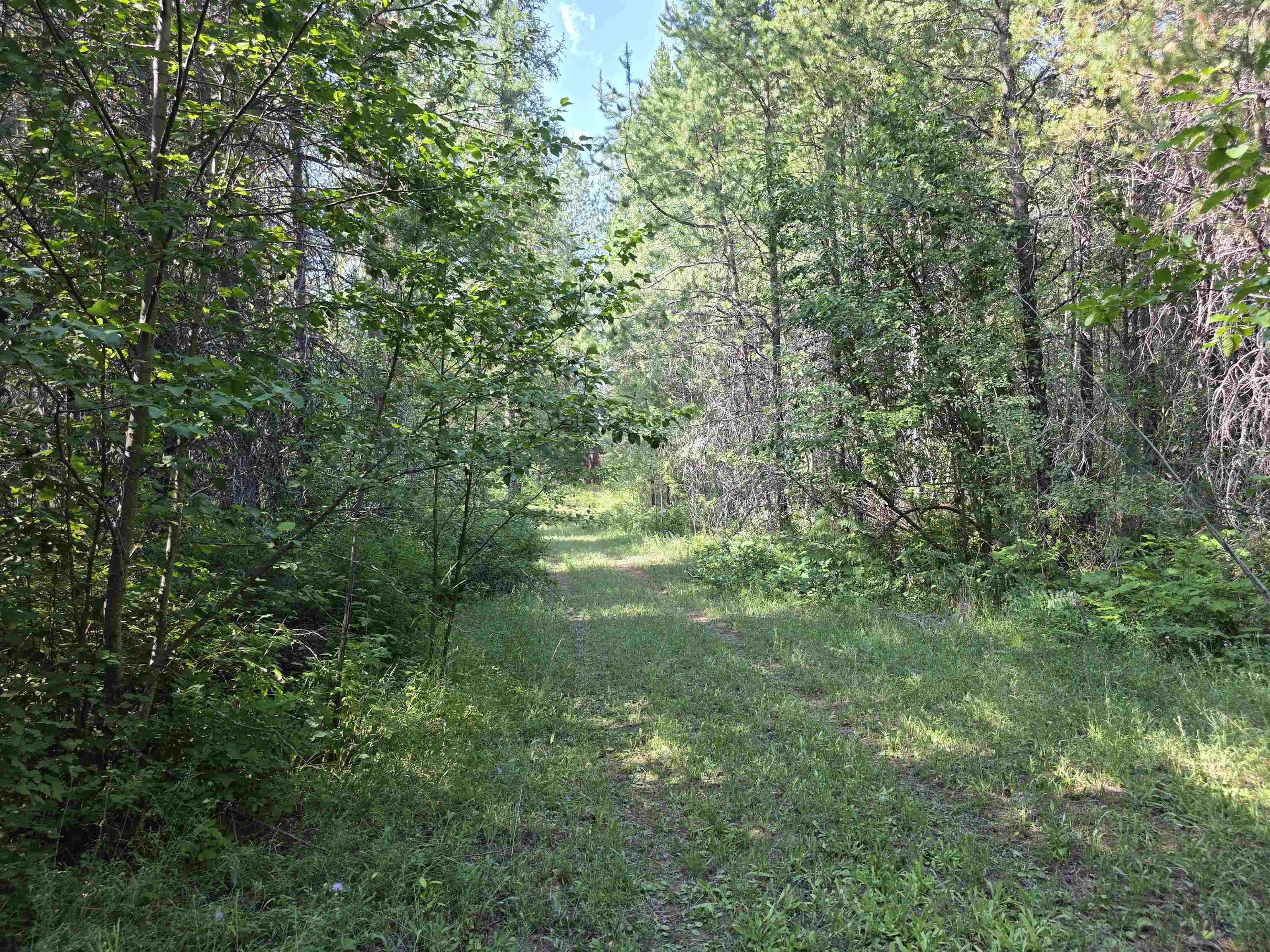 71 Hearts Delight Ln - Photo 2
