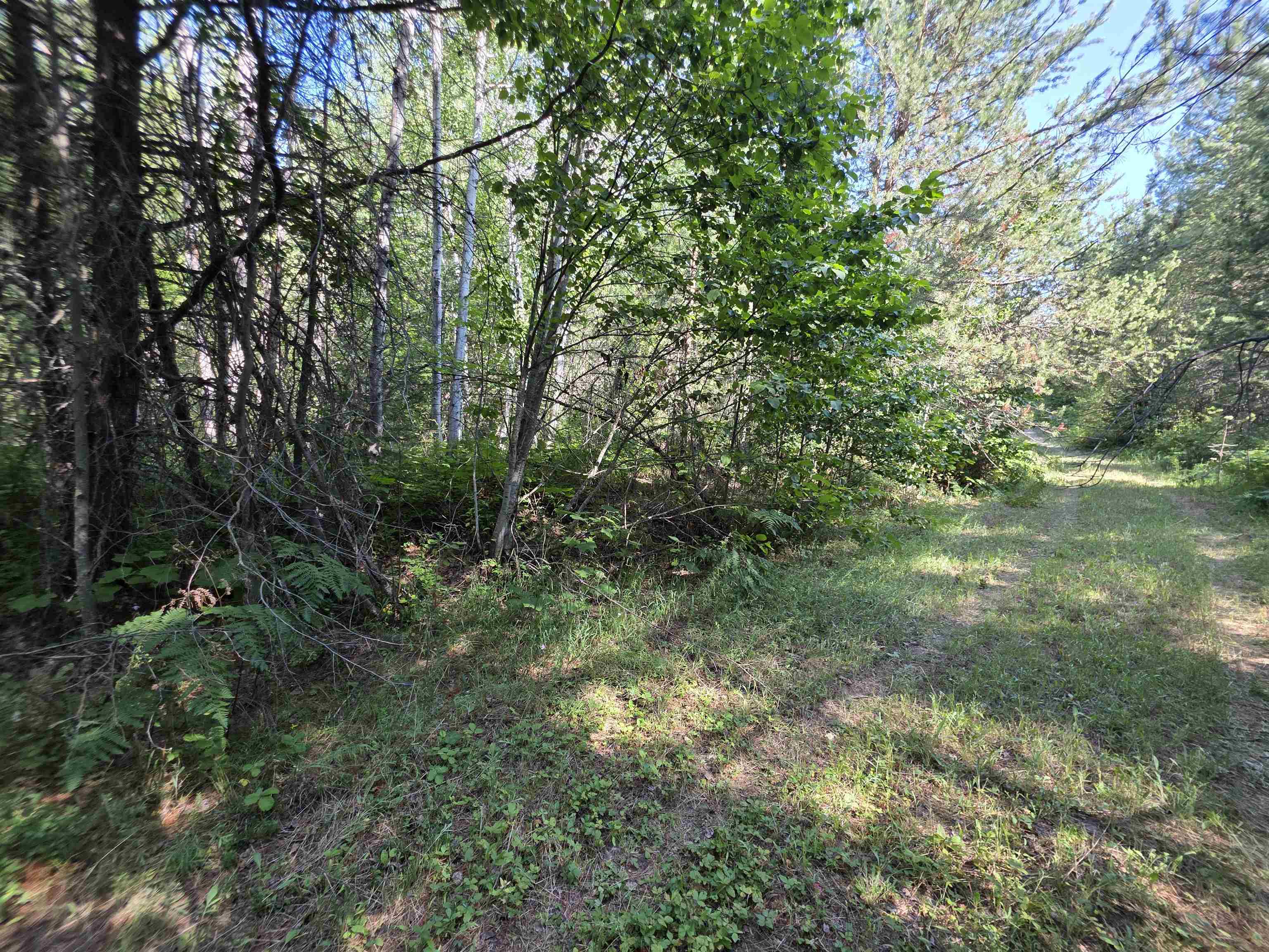 71 Hearts Delight Ln - Photo 5