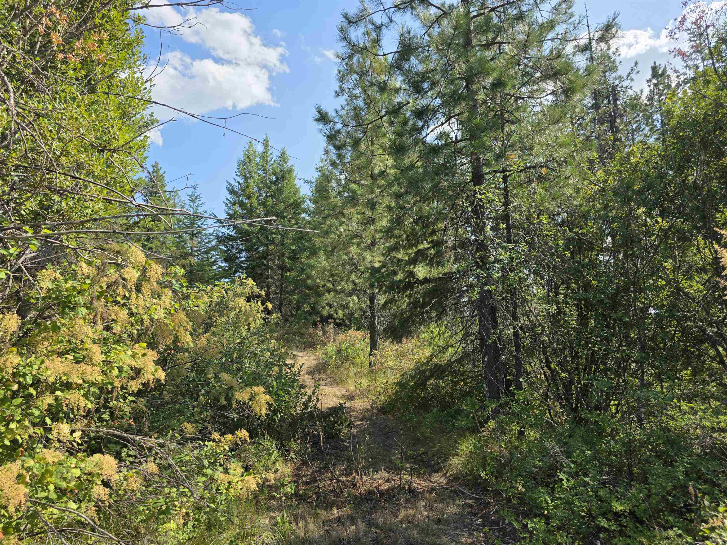251 Hearts Delight Ln - Photo 2