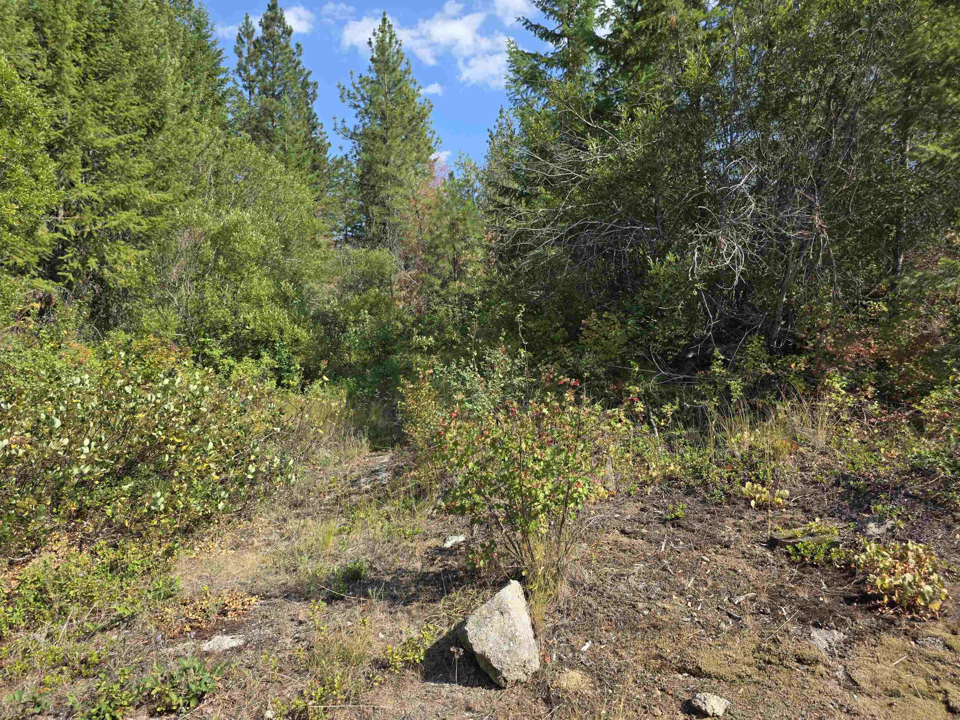 251 Hearts Delight Ln - Photo 5
