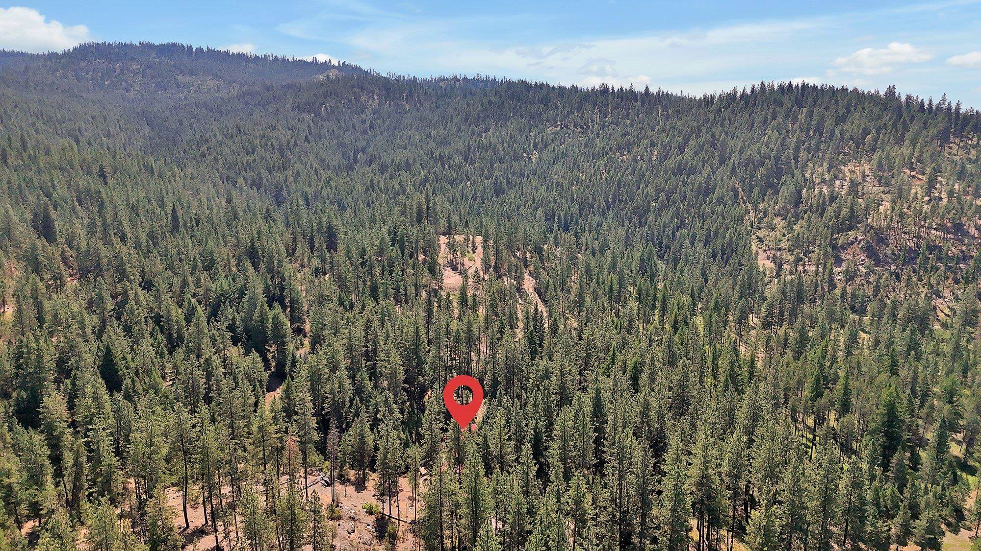 4325 G HWY 231 - Photo 46