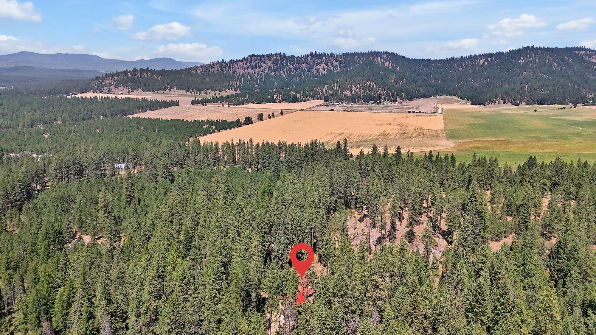 4325 G HWY 231 - Photo 47