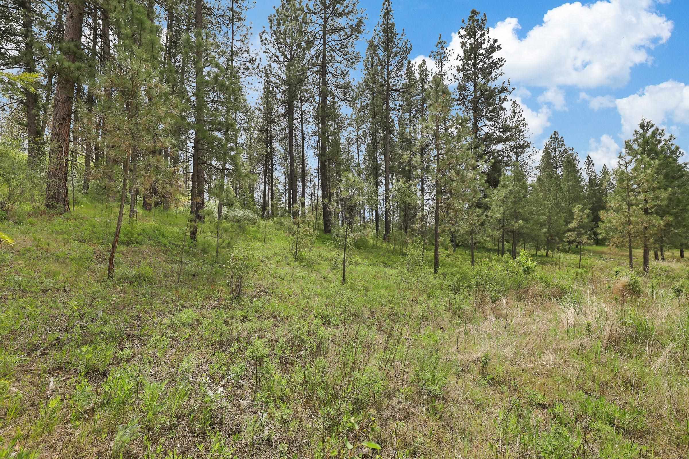 XX Cheney Spokane Rd - Photo 13