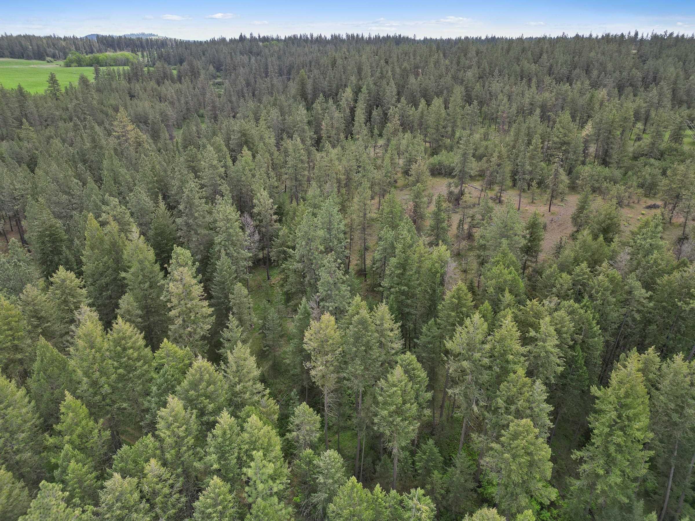 XX Cheney Spokane Rd - Photo 19