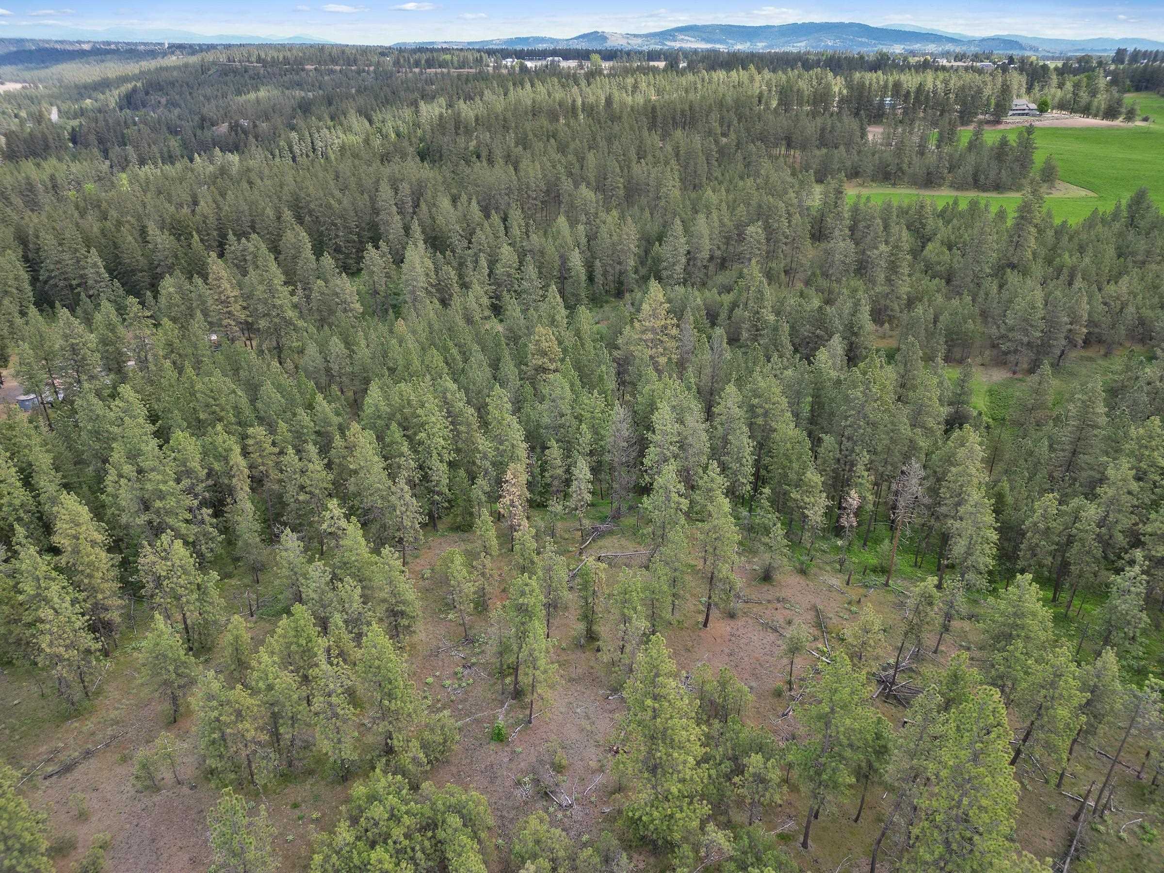 XX Cheney Spokane Rd - Photo 20