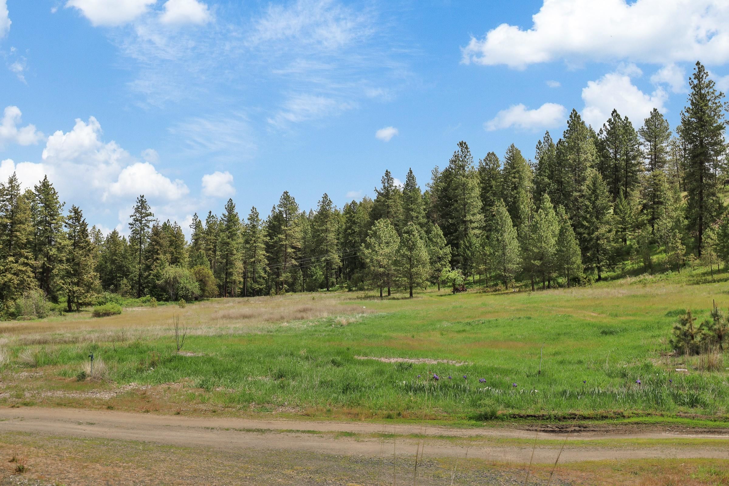 XX Cheney Spokane Rd - Photo 3