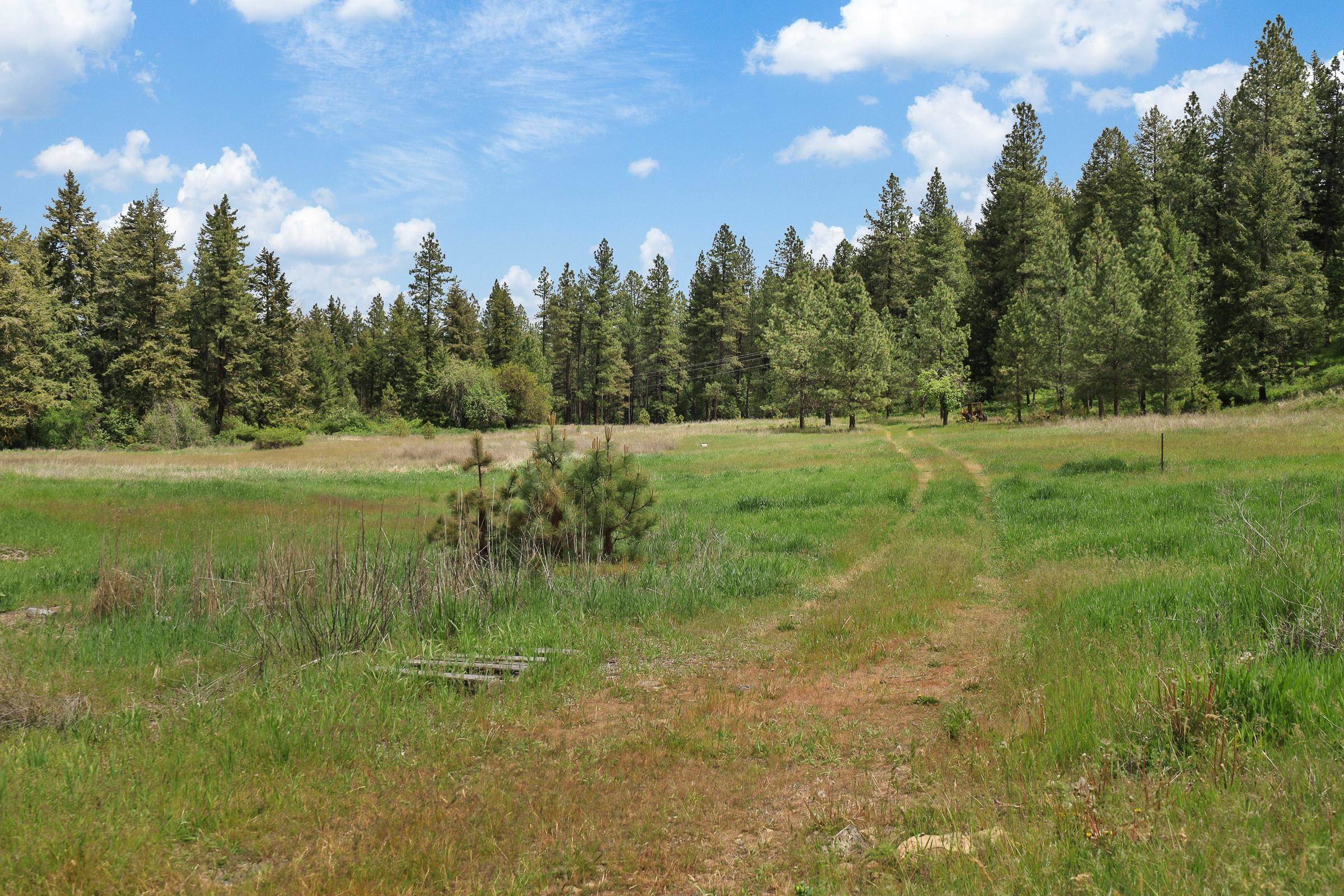 XX Cheney Spokane Rd - Photo 6