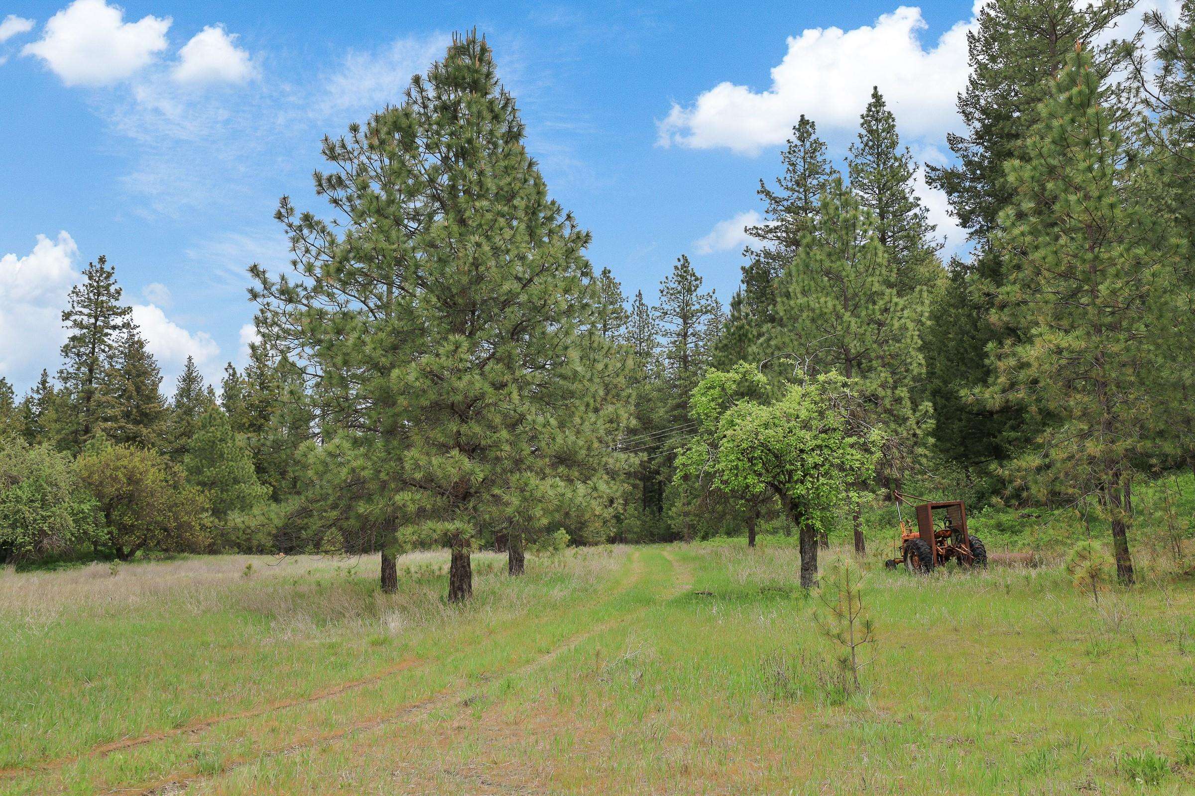 XX Cheney Spokane Rd - Photo 9