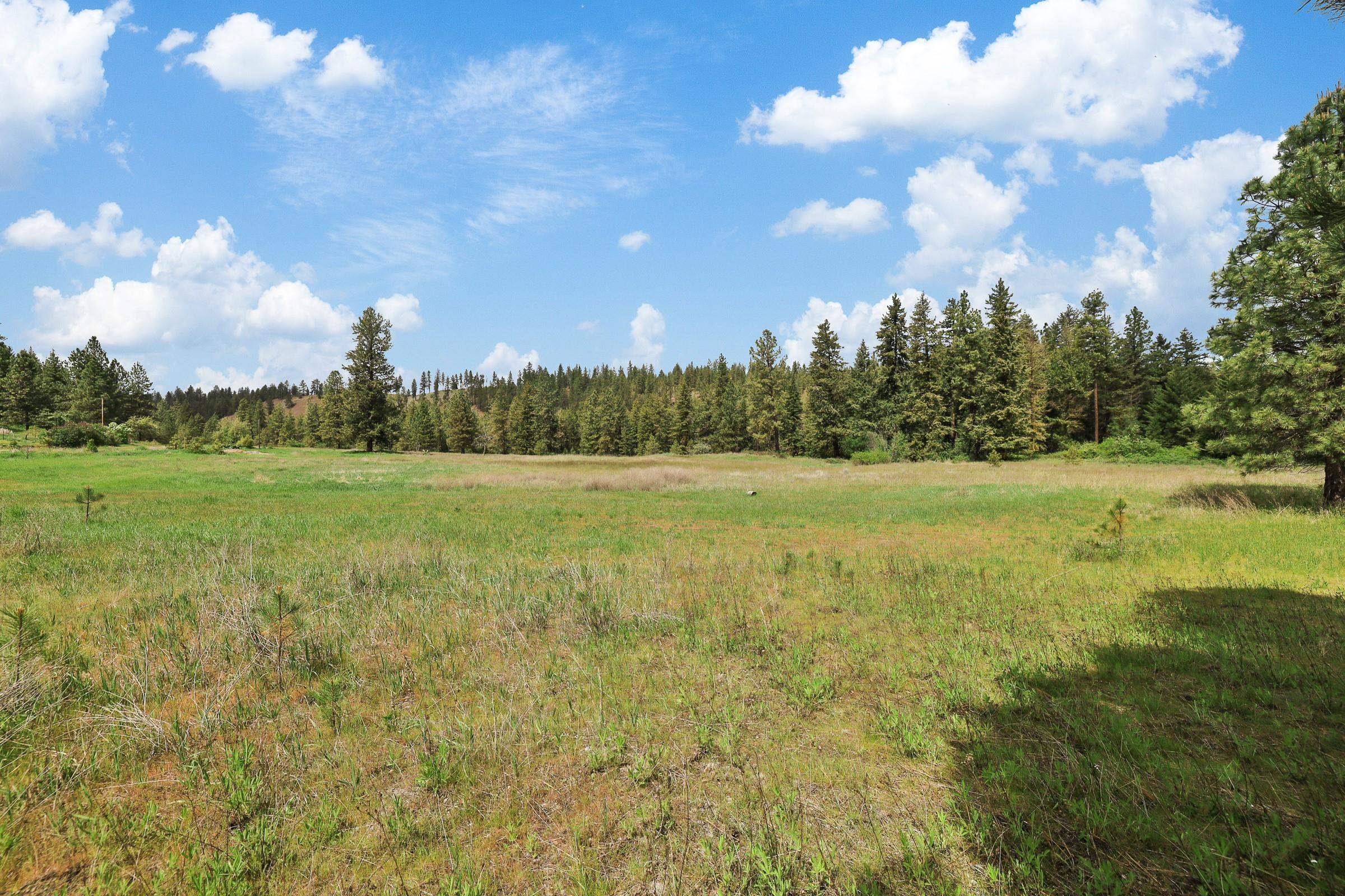 XX Cheney Spokane Rd - Photo 10