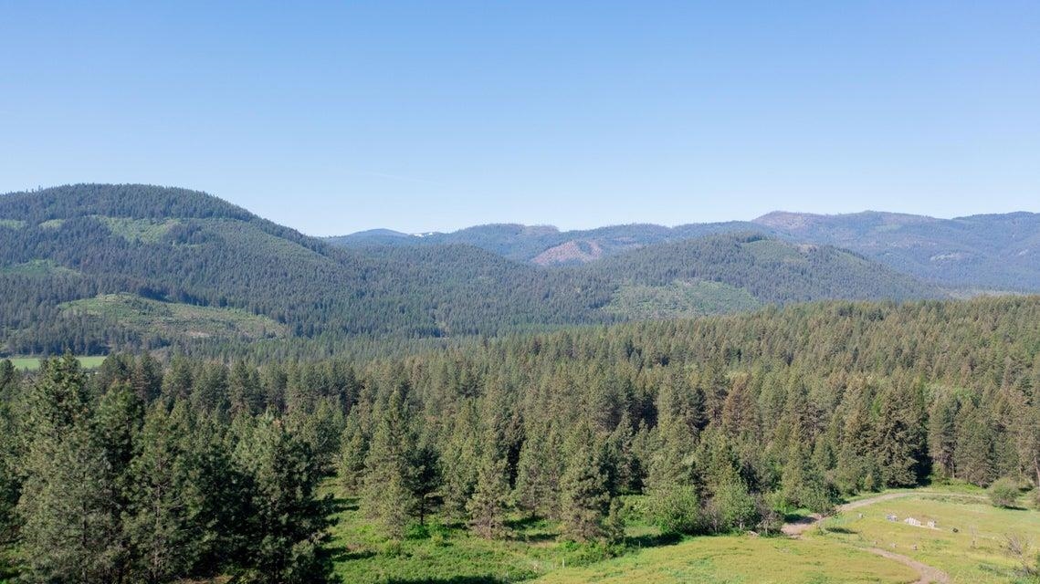 360 Barnaby Creek Rd - Photo 4