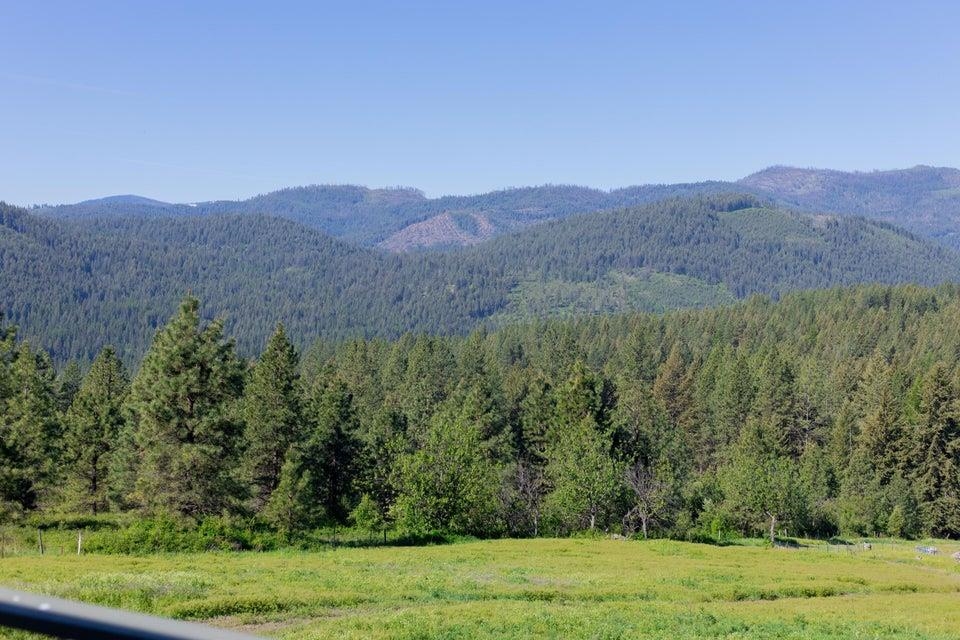 360 Barnaby Creek Rd - Photo 7