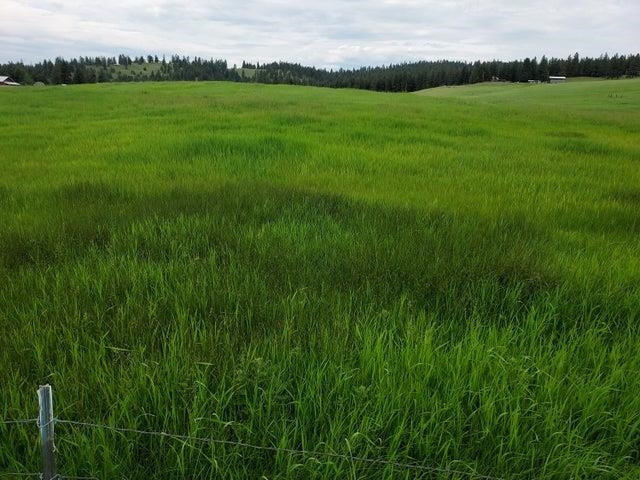 37 Old Ranch House Rd - Photo 2