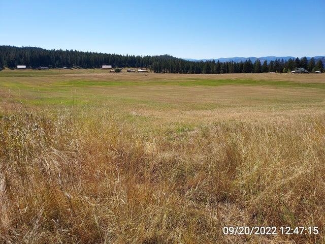 37 Old Ranch House Rd - Photo 11