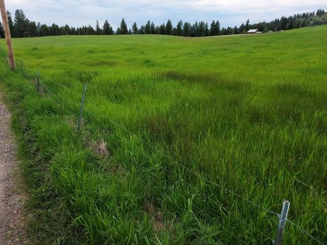 37 Old Ranch House Rd - Photo 4