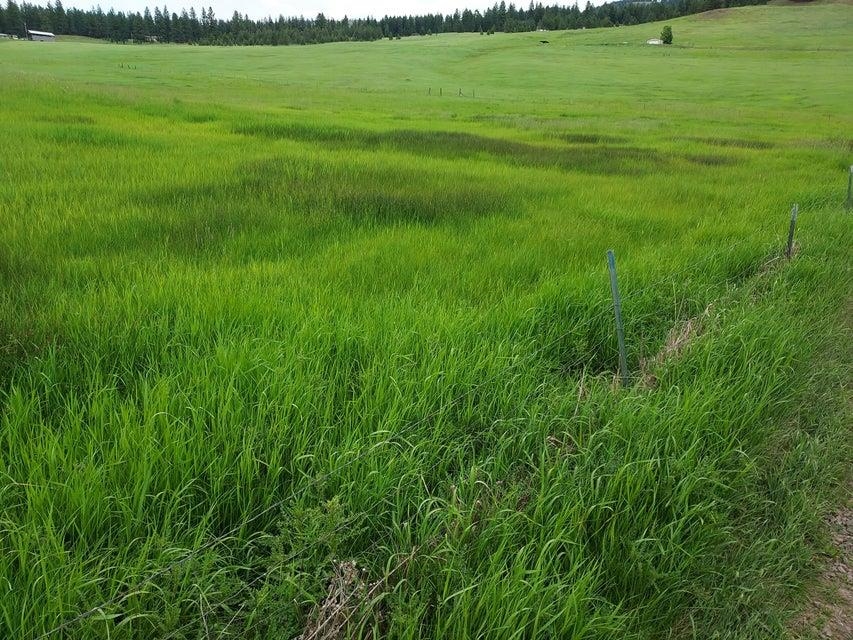 47 Old Ranch House Rd - Photo 2