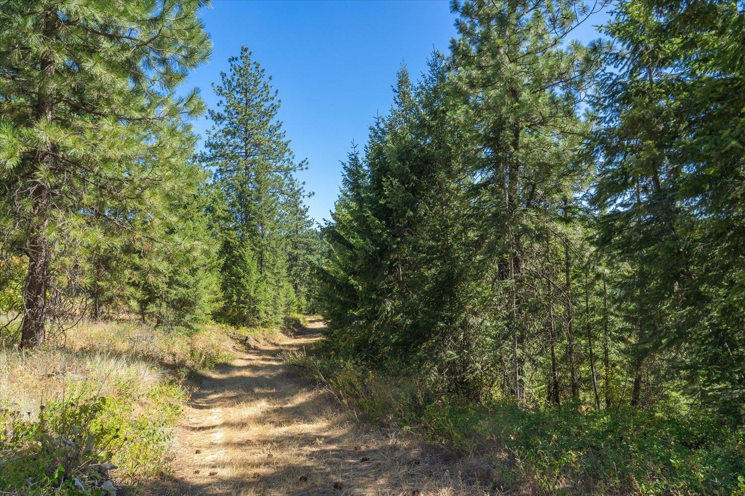 21620 E Lakeview Rd - Photo 1