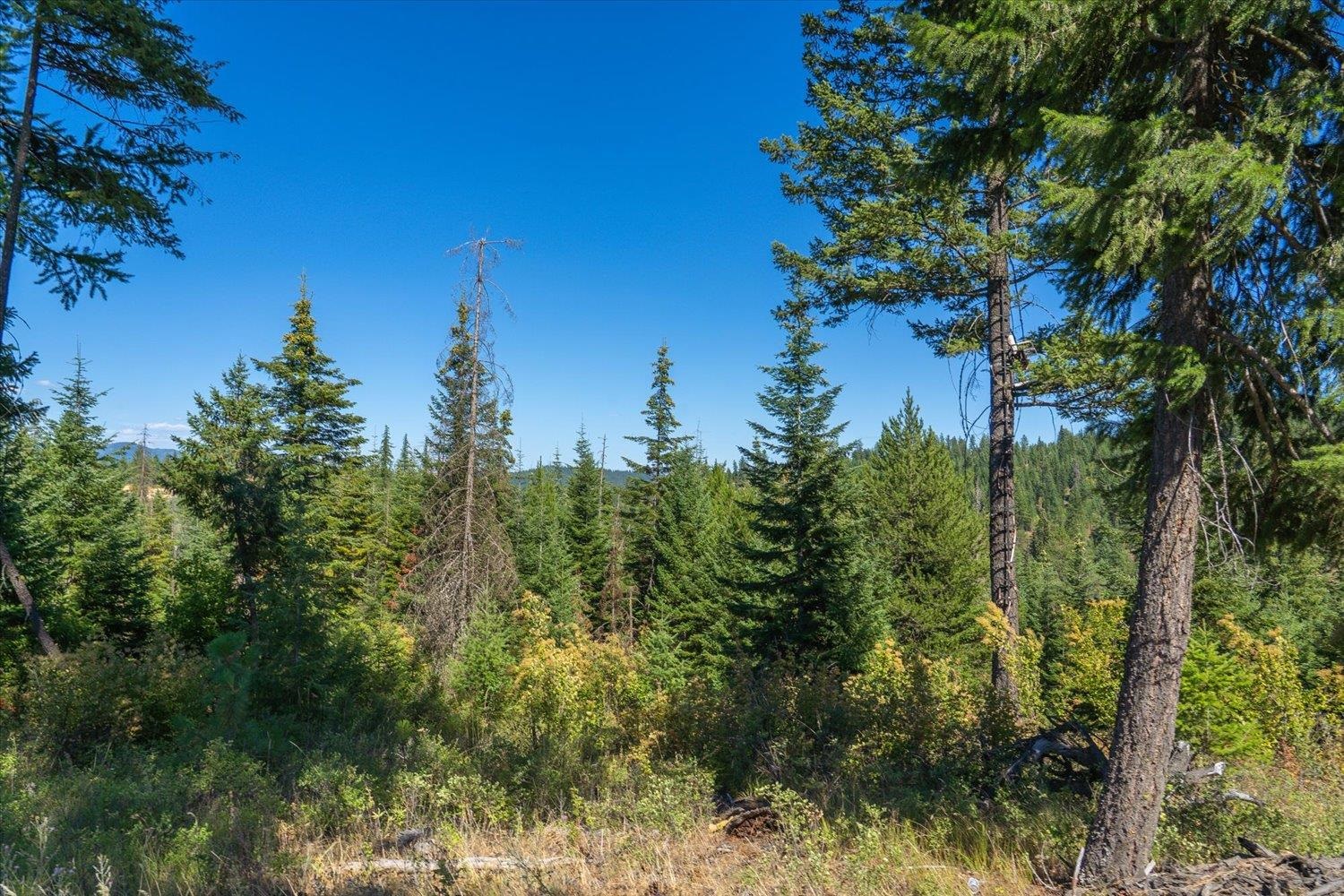 21620 E Lakeview Rd - Photo 2