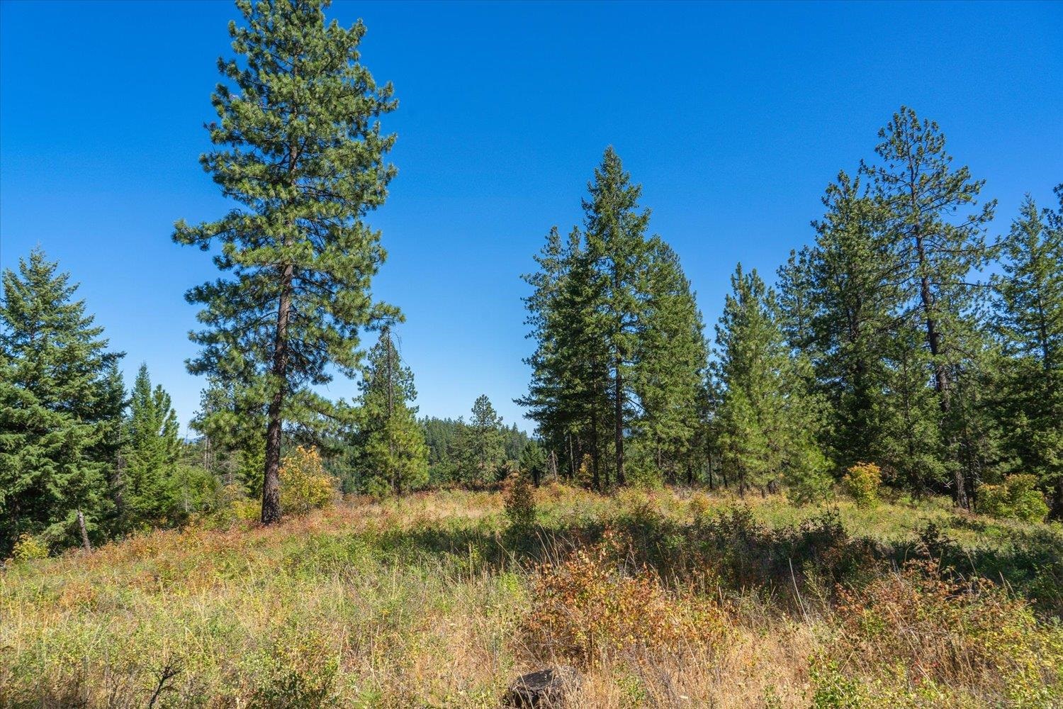 21620 E Lakeview Rd - Photo 12