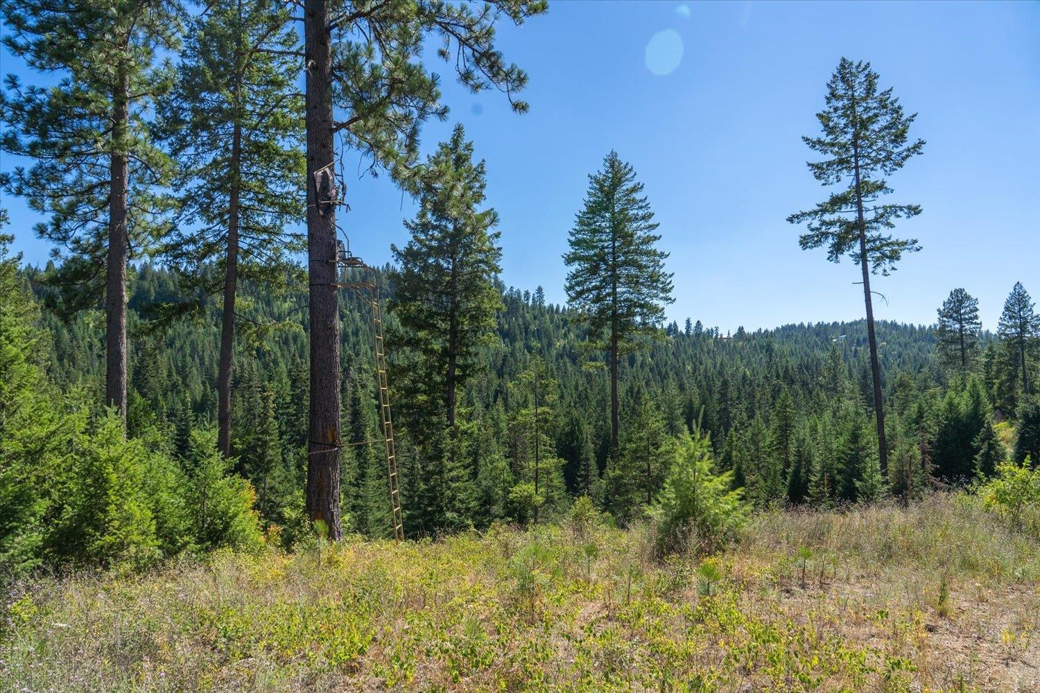 21620 E Lakeview Rd - Photo 3
