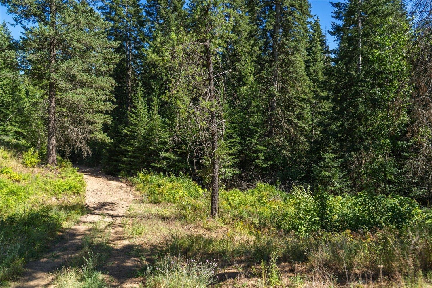 21620 E Lakeview Rd - Photo 30