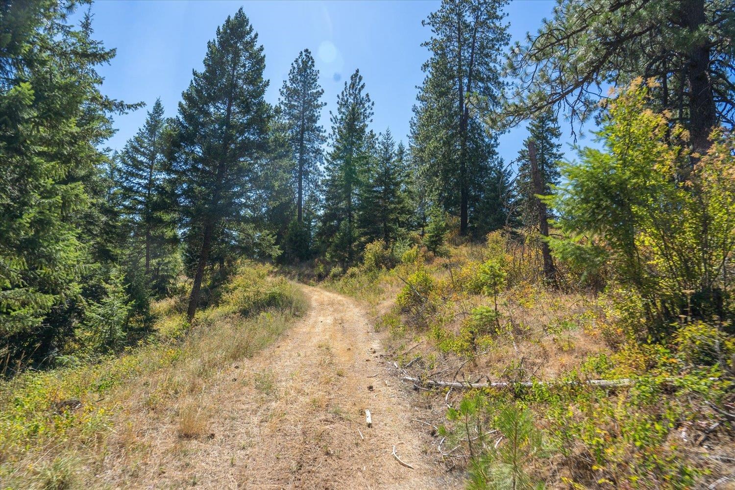 21620 E Lakeview Rd - Photo 4