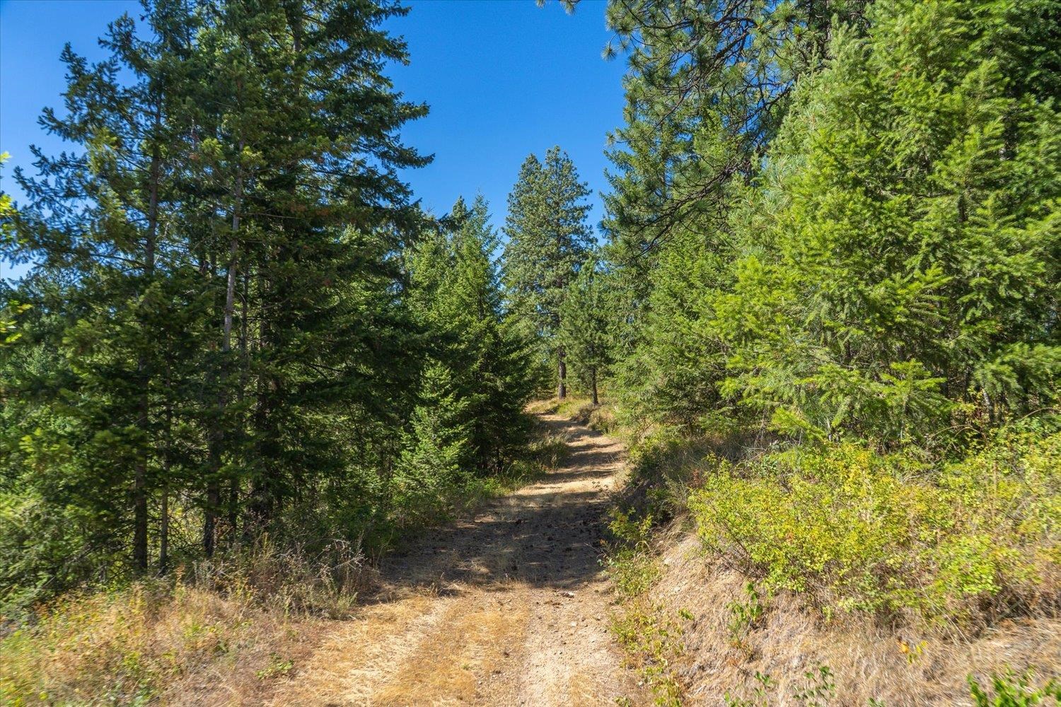 21620 E Lakeview Rd - Photo 5