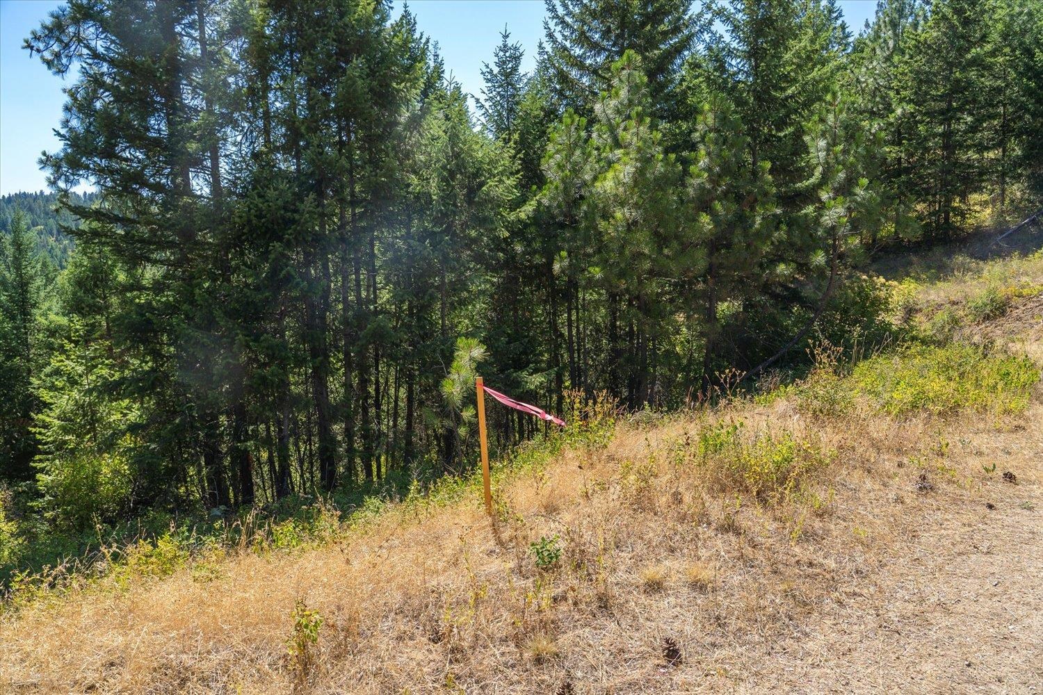 21620 E Lakeview Rd - Photo 6