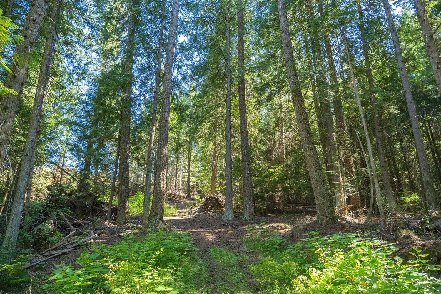 21620 E Lakeview Rd - Photo 9