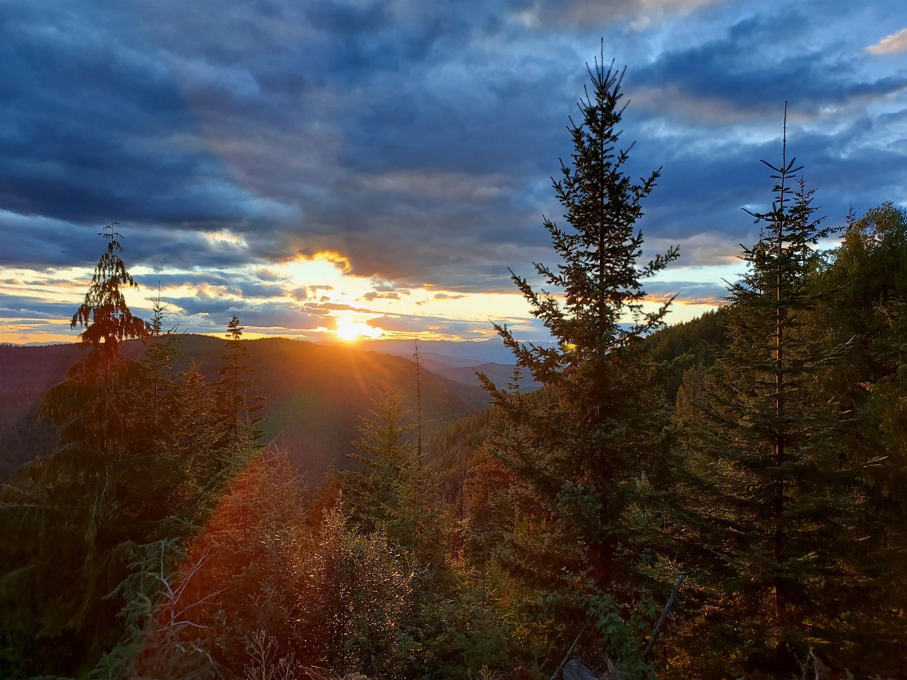 NKA Frisco Standard Rd - Photo 24